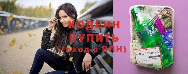 шишки Армянск