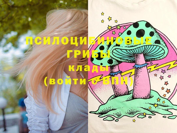 бошки Аркадак
