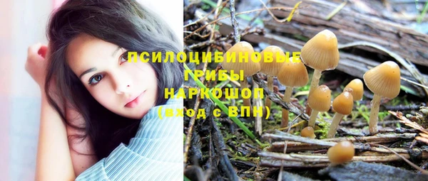 прущая мука Арсеньев