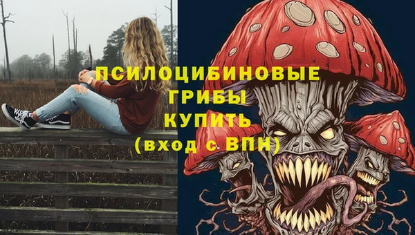 прущая мука Арсеньев