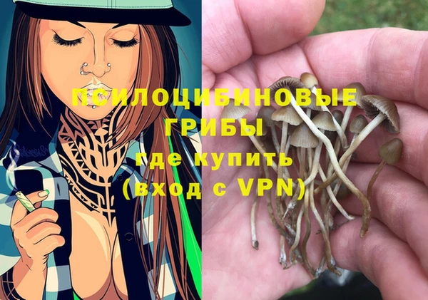 прущая мука Арсеньев