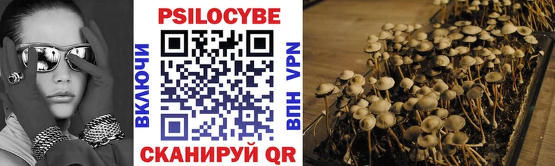 Галлюциногенные грибы Psilocybe  Усолье-Сибирское 